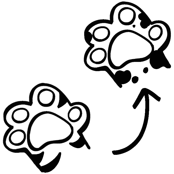 Transforming Markings